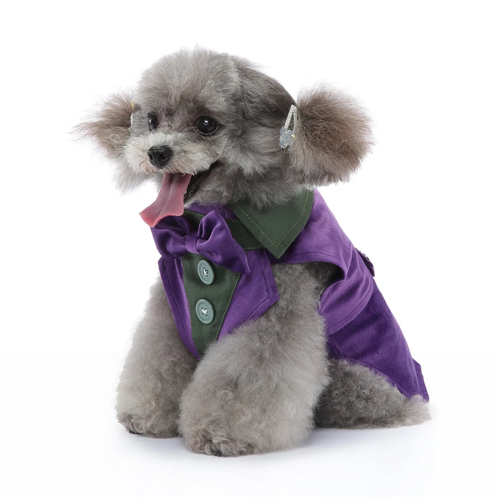 Christmas & Wedding Dog Costume