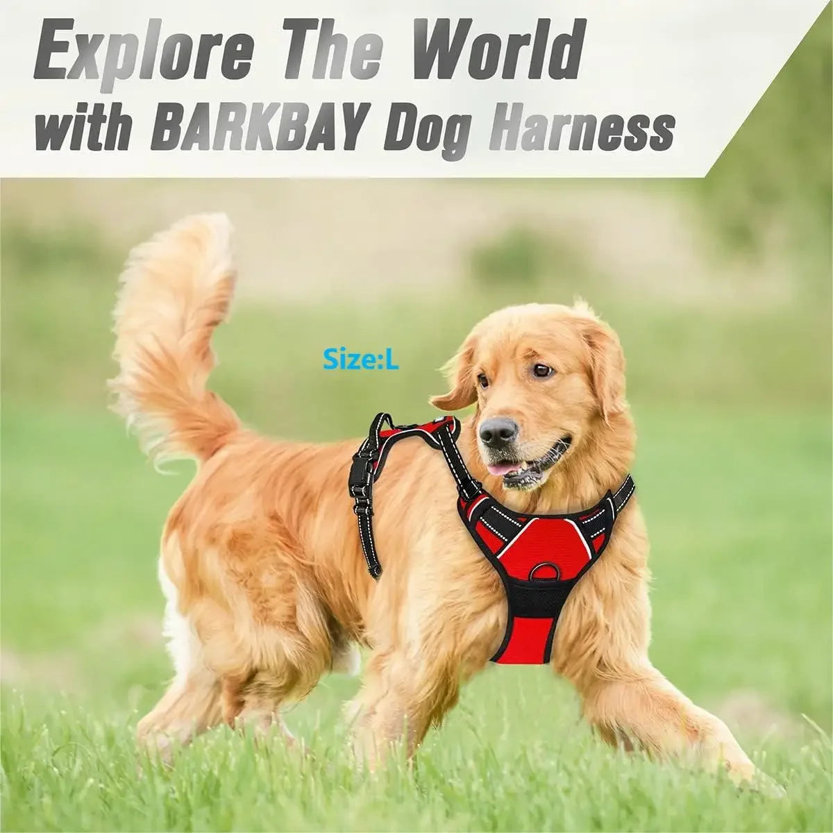 Heavy-Duty No-Pull Dog Harness