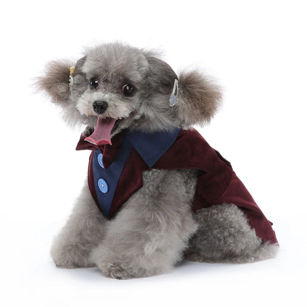 Christmas & Wedding Dog Costume