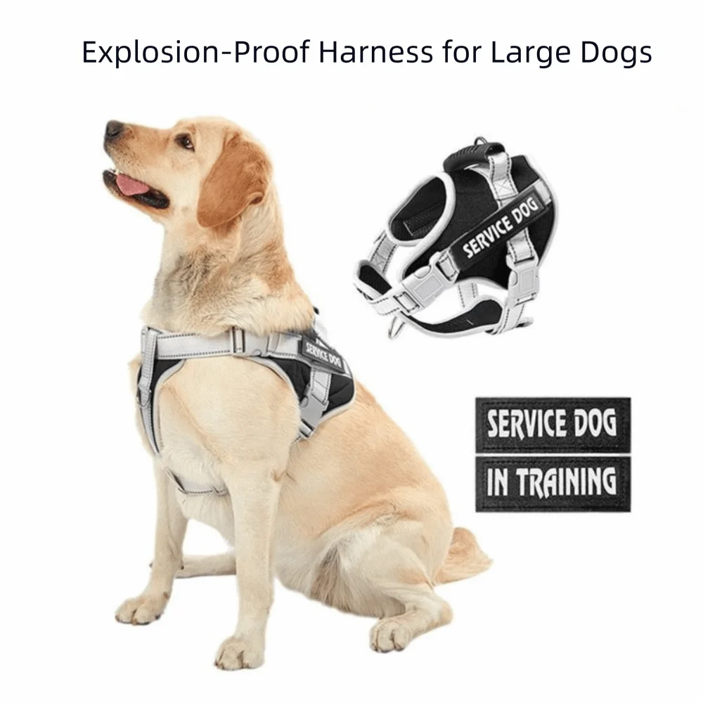 Adjustable Dog Harness & Reflective Leash Se
