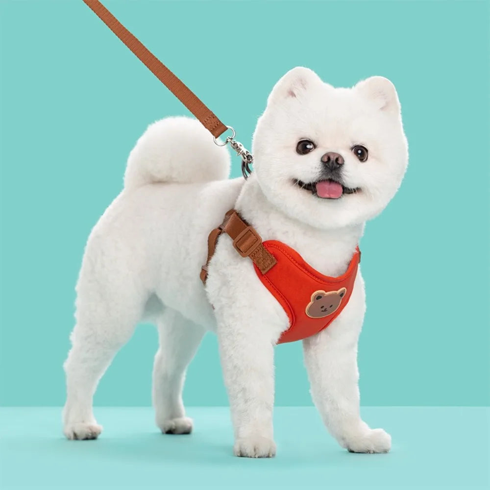Cartoon Cute Pet Harness & Leash Set