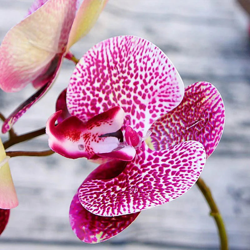 3D Artificial Butterfly Orchid Flowers