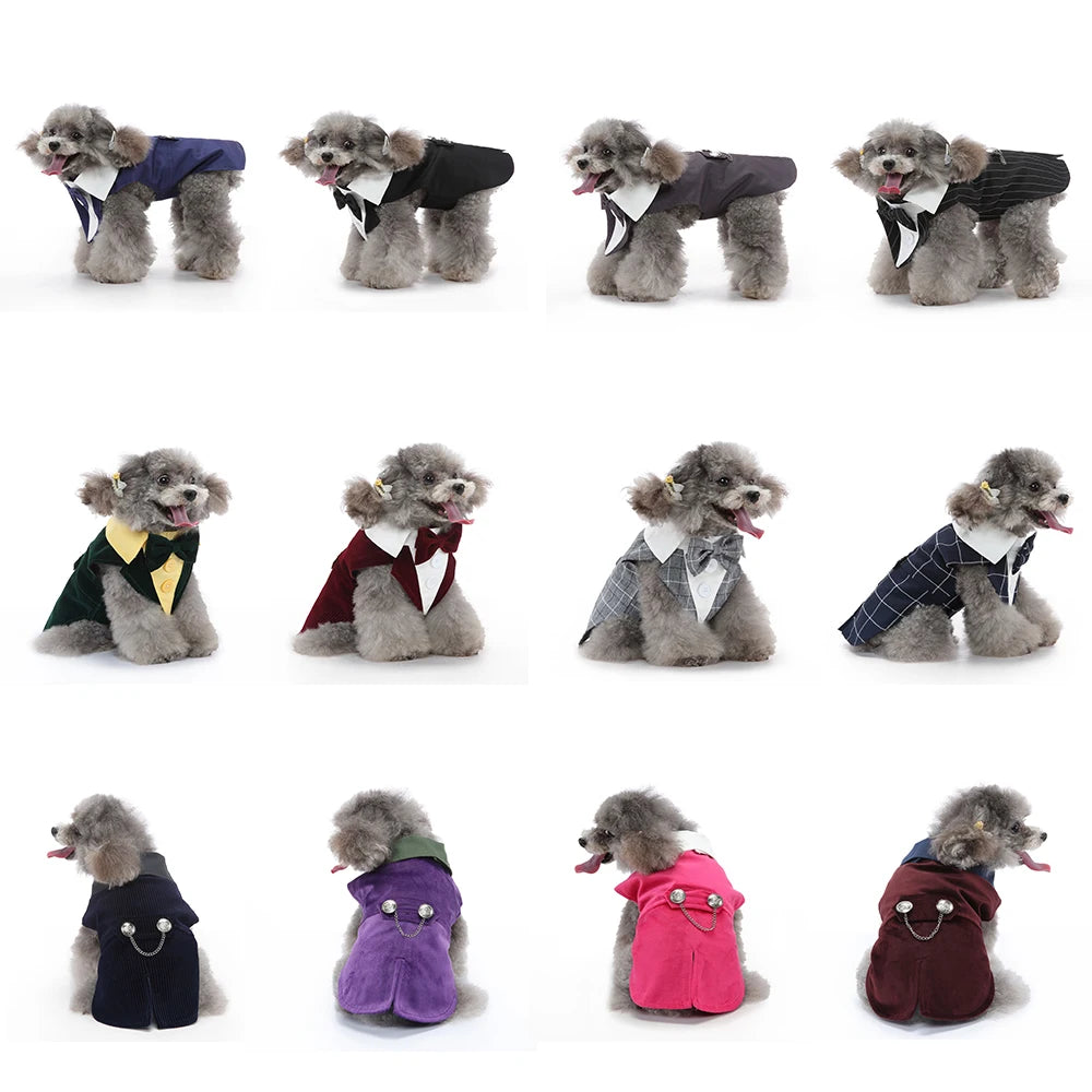 Christmas & Wedding Dog Costume