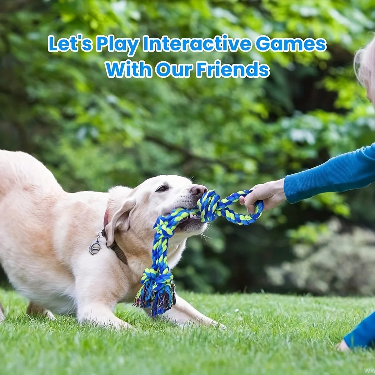 Indestructible Knot Dog Chew Toy