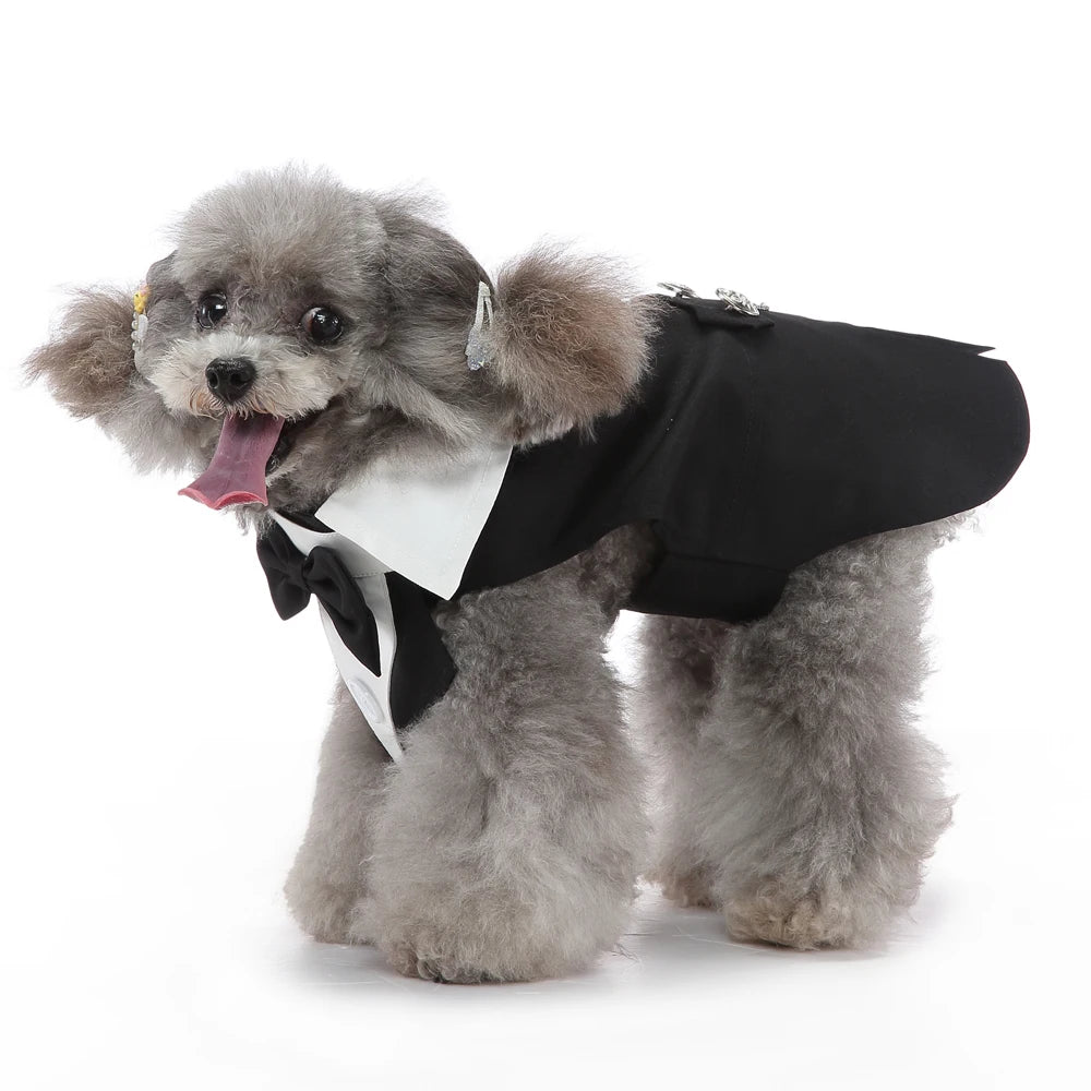 Christmas & Wedding Dog Costume