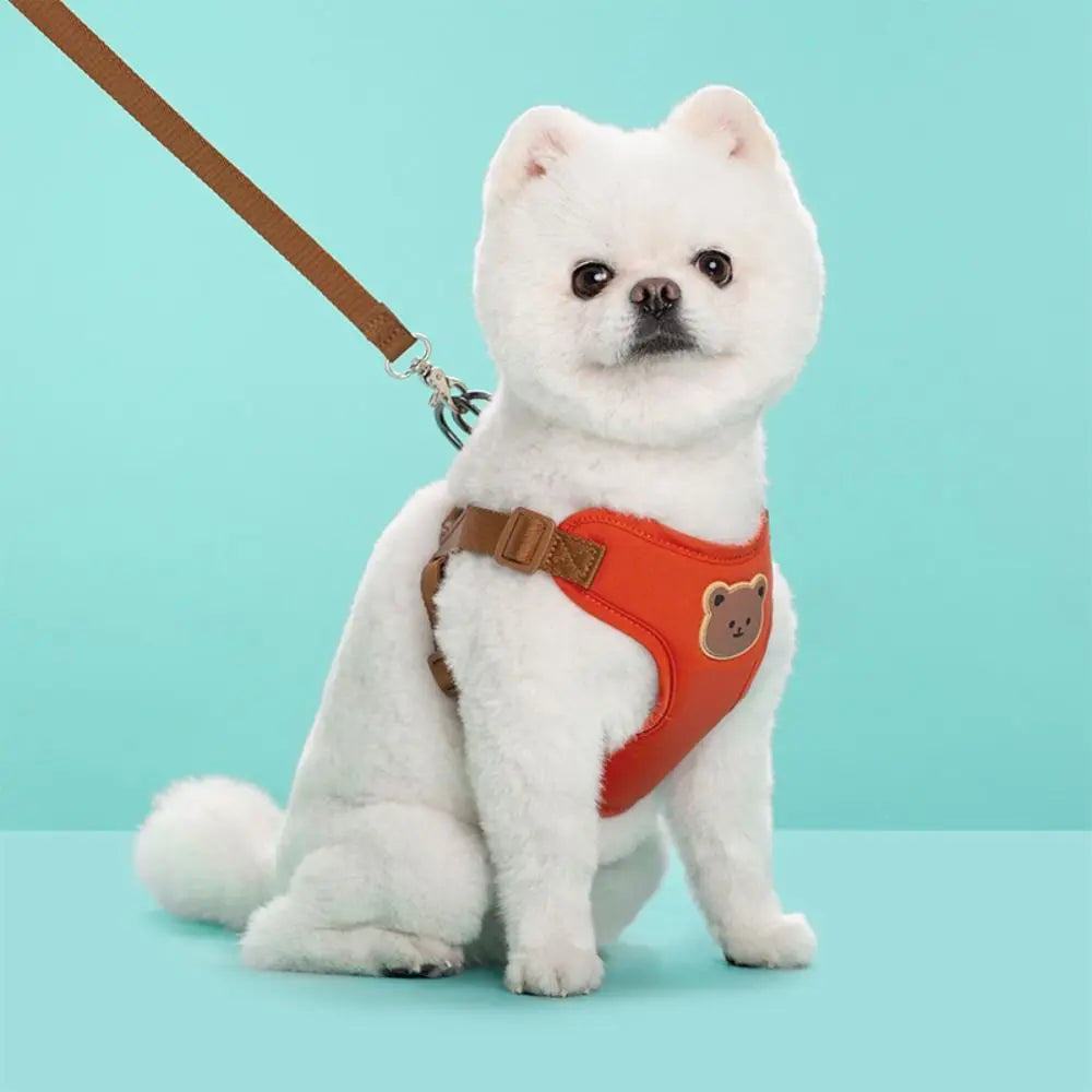 Cartoon Cute Pet Harness & Leash Set