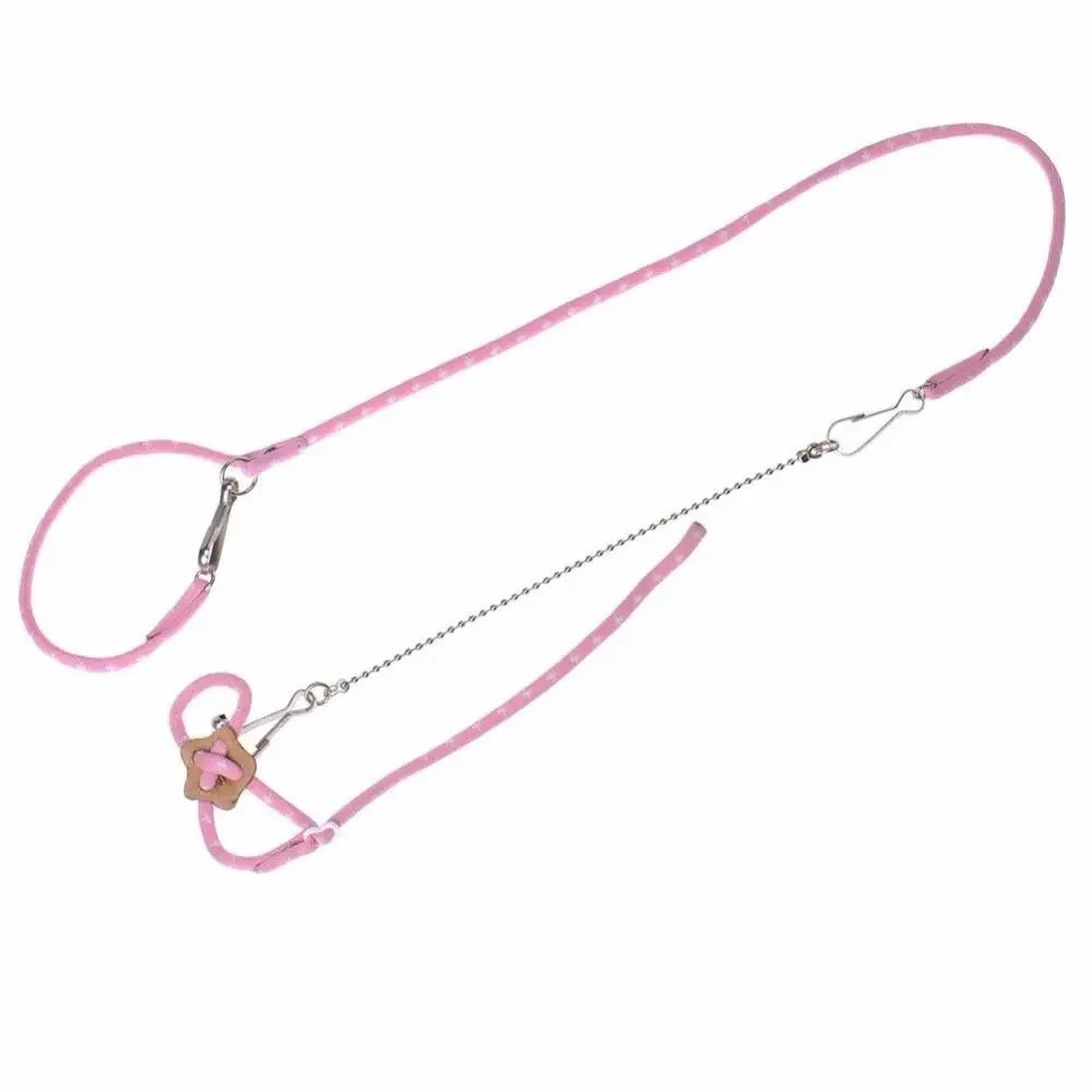 Lovely Hamster Collar & Adjustable Pet Harness