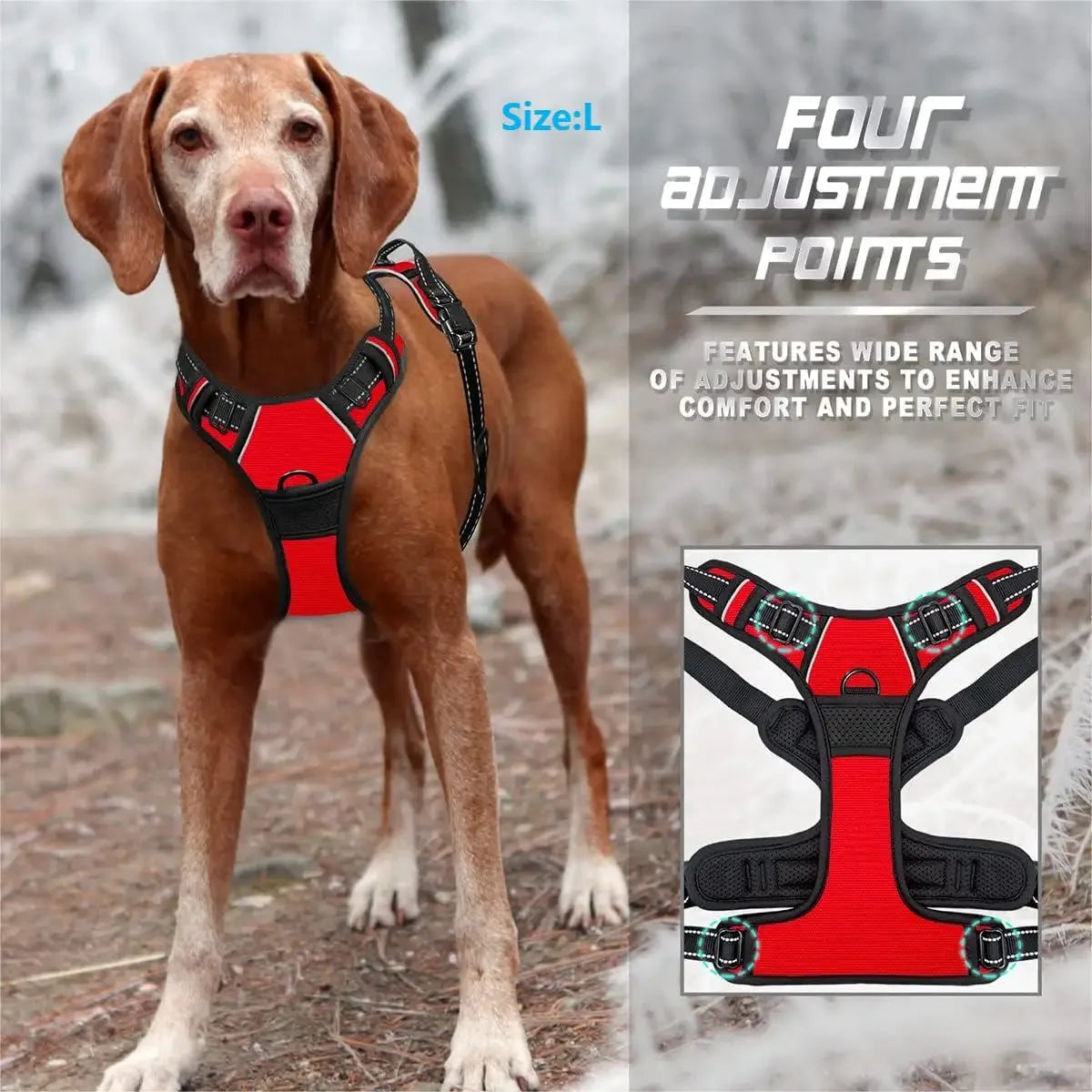 Heavy-Duty No-Pull Dog Harness
