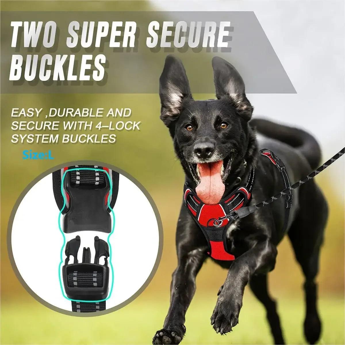 Heavy-Duty No-Pull Dog Harness