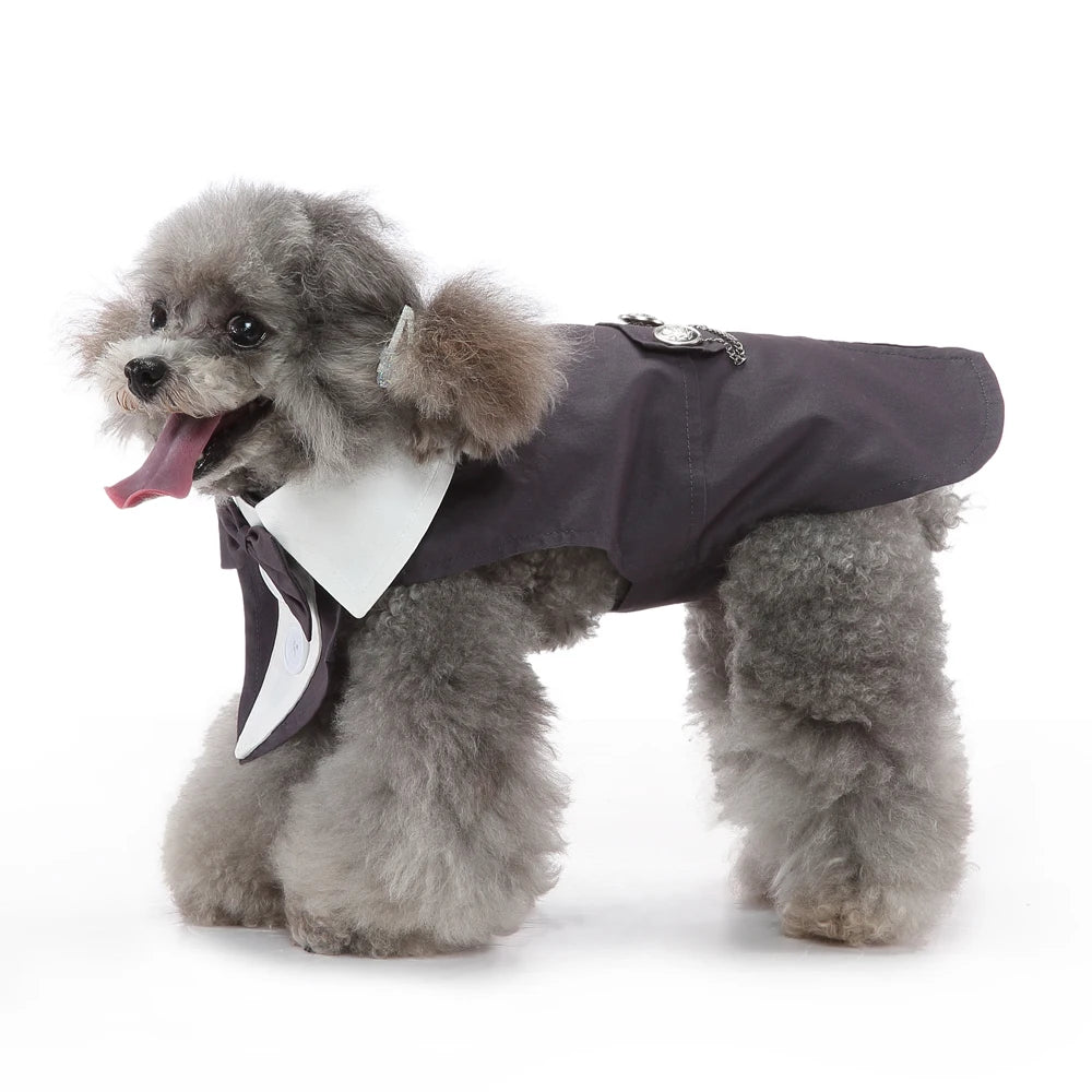 Christmas & Wedding Dog Costume