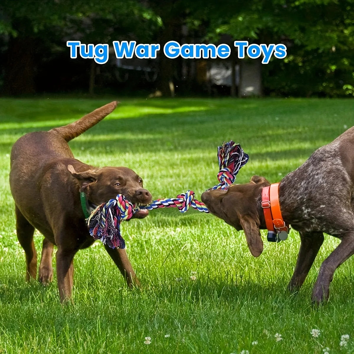 Indestructible Knot Dog Chew Toy