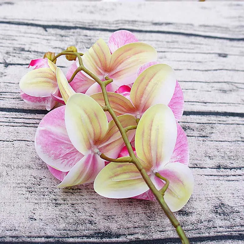 3D Artificial Butterfly Orchid Flowers