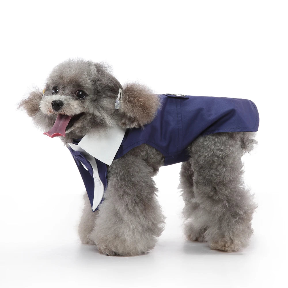 Christmas & Wedding Dog Costume