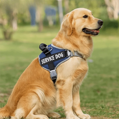 Adjustable Dog Harness & Reflective Leash Se