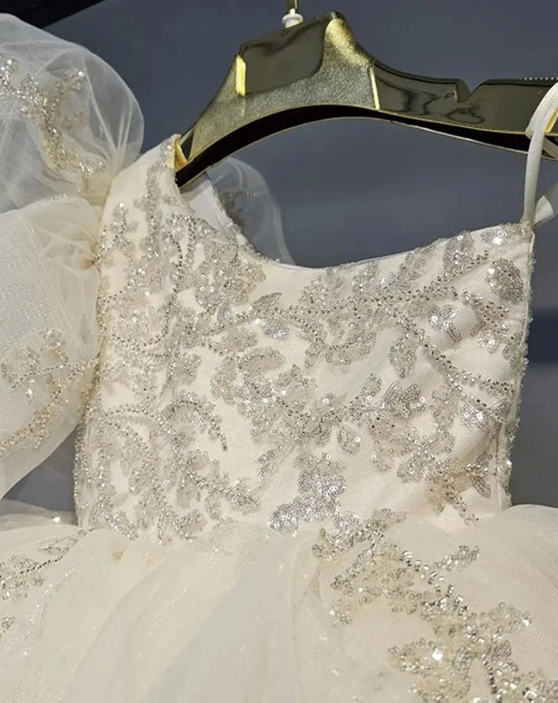 Baby Girl Princess Floral Sequins Dress