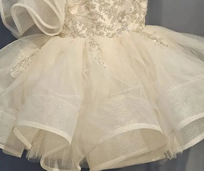 Baby Girl Princess Floral Sequins Dress