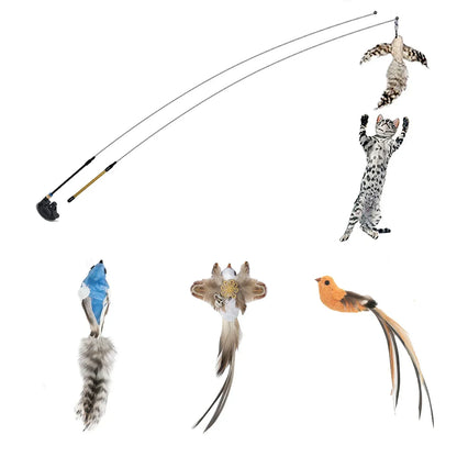 Interactive Peacock Cat Toy