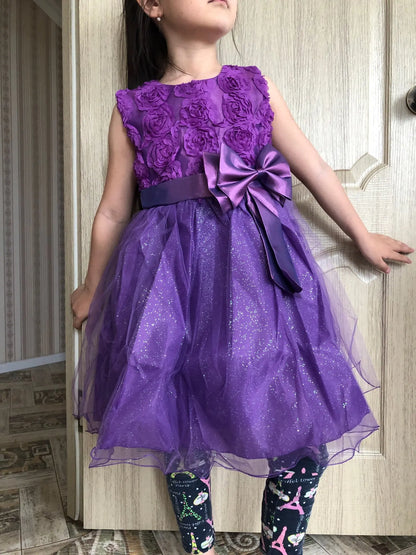 Flower Girls Wedding Princess Dress