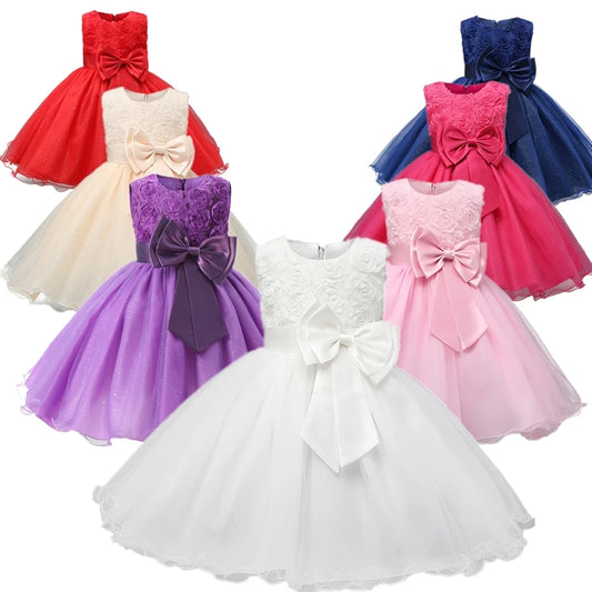 Flower Girls Wedding Princess Dress