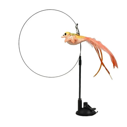 Interactive Peacock Cat Toy