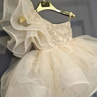 Baby Girl Princess Floral Sequins Dress