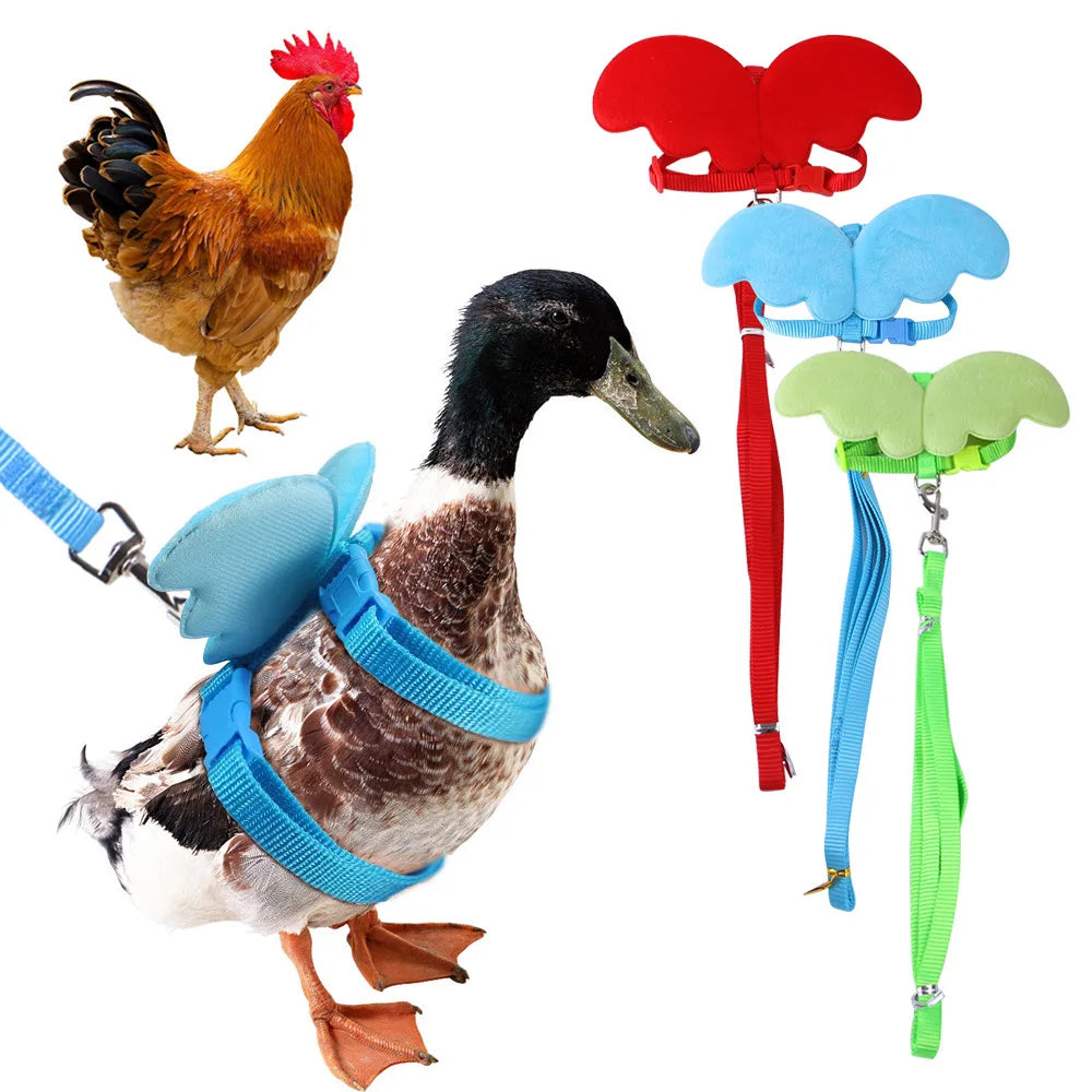 Hamster & Rabbit Angel Wings Harness & Leash