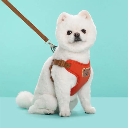 Cartoon Cute Pet Harness & Leash Set