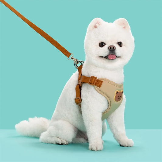 Cartoon Cute Pet Harness & Leash Set