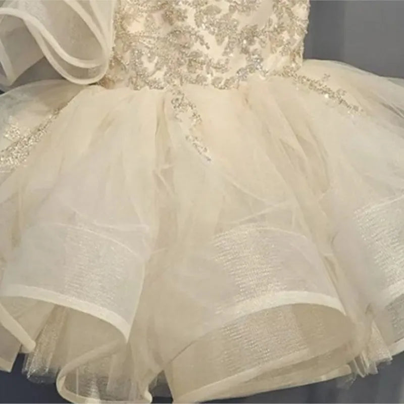 Baby Girl Princess Floral Sequins Dress