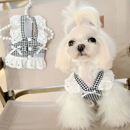 Lace Puppy Summer Clothes
