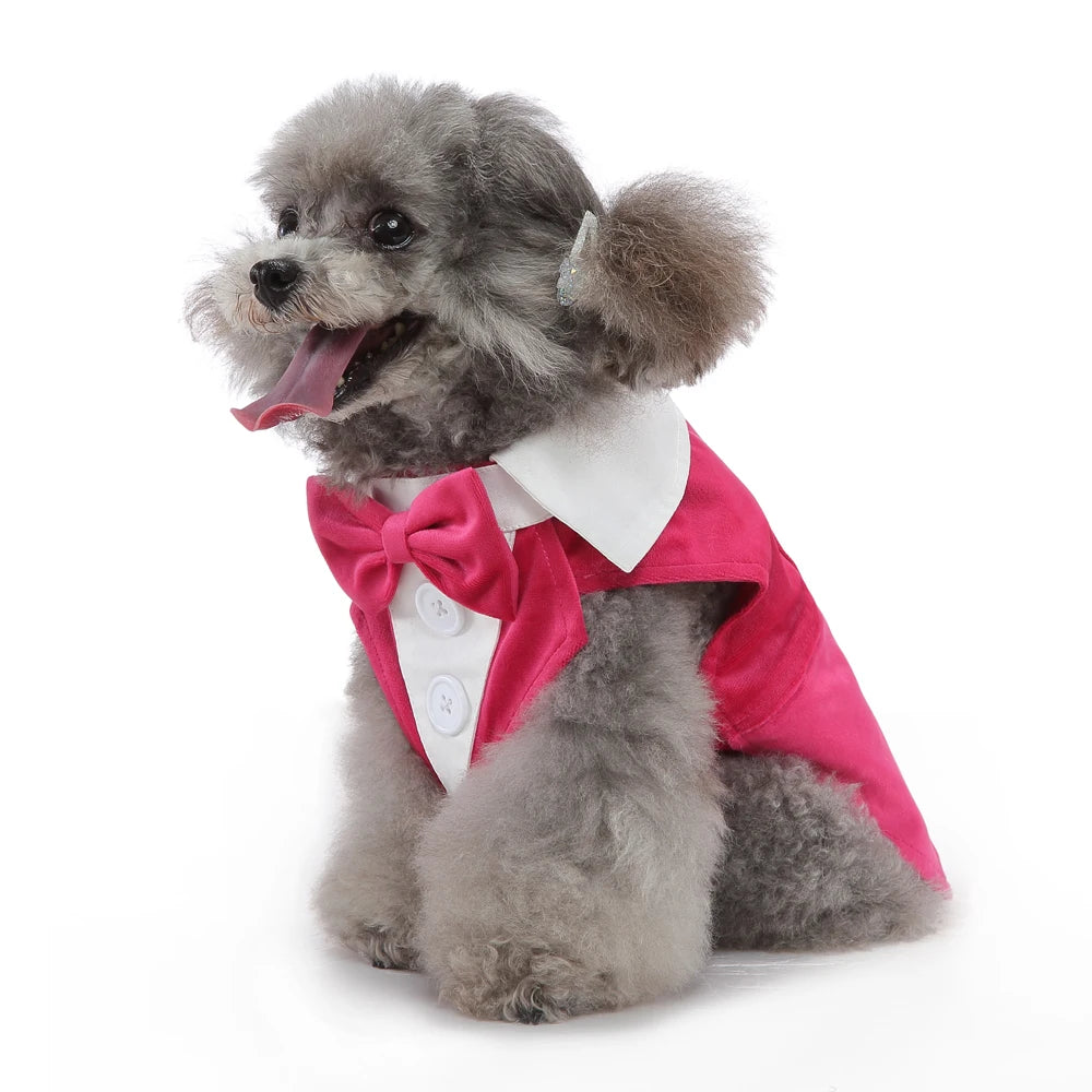 Christmas & Wedding Dog Costume